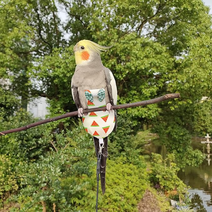 VANFAVORI Bird Diaper Harness Flight Suit Clothes with 80 Inch Flying Leash for Parrots Cockatiel Pet Birds, Watermelon,Including A Cotton Pad