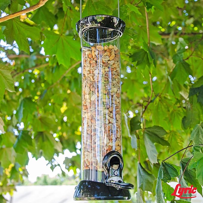 Lyric Delite Wild Bird Seed - No Waste Bird Food Mix with Shell-Free Nuts & Seeds - Attracts Buntings, Chickadees & Finches - 20 lb bag