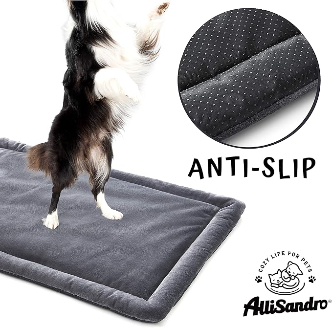 Allisandro Water-Proof Dog Bed, Washable Mat Crate Pad, Durable Pet Beds Soft Dog Mattress, Anti-Slip Kennel Pads for Dogs, Cats and Small Animal, Grey (47.2 x 27.6 Inches)