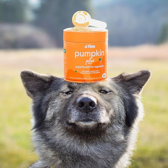 Finn Pumpkin Plus: Fast-Acting Digestive Relief for Loose Stool, Constipation, and Sensitive Stomachs | Superfood Meal Topper Powder for Dogs