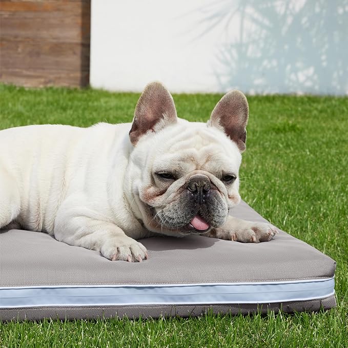 Bedsure Outdoor Waterproof Dog Bed with Heavy Duty Cover, Orthopedic Foam Supportive Dog Beds, Washable Dog Mat with Removable Cover for Large Dogs (30"x20", Grey)