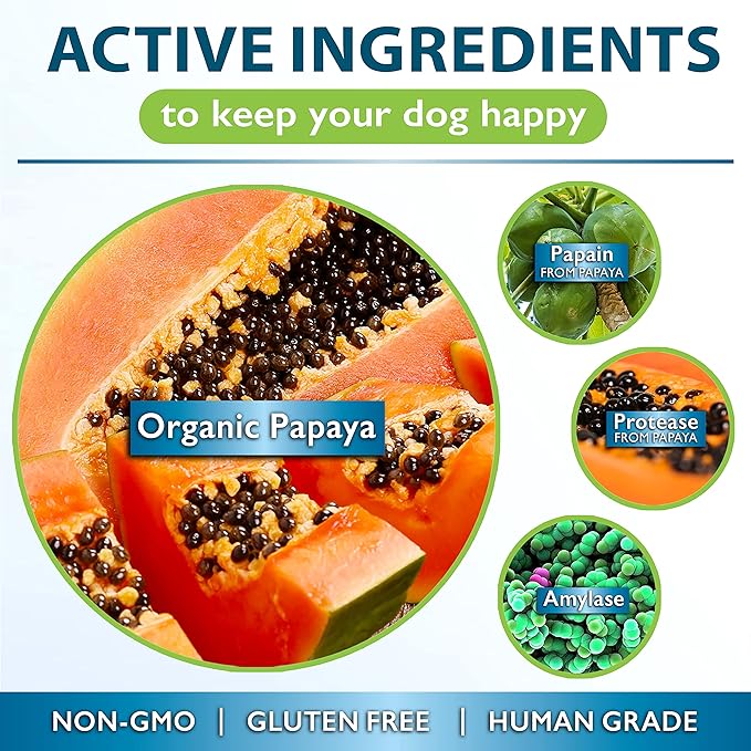 Papaya for Dogs Digestive Enzyme Complex to Support Normal Intestinal Function, Boost Immunity, with Organic Papaya Fruit + Papain, Protease & Amylase, 90 Soft Chews