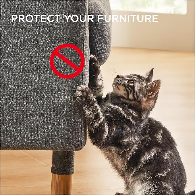 Lesure Cat Scratching Post for Indoor Cats - Highly Resistant Carpet Scratch Posts, Premium Sisal Rope Scratch Posts for Kittens, Sturdy Small Cat Scratch Pole with Hanging Ball, Grey(22.5 inch)