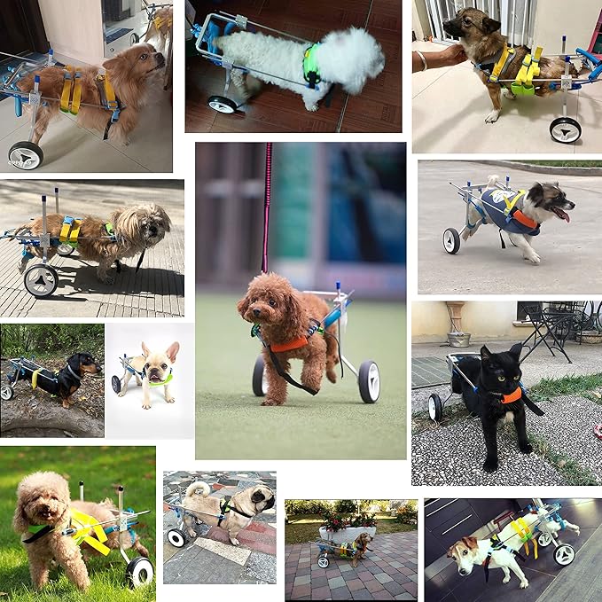 Adjustable Dog Cart/Wheelchair, Animal Exercise Wheels?for Pet/Doggie Wheelchairs with Disabled Hind Legs Walking?Light Weight, Easy Assemble (7-Size)(XSLW)