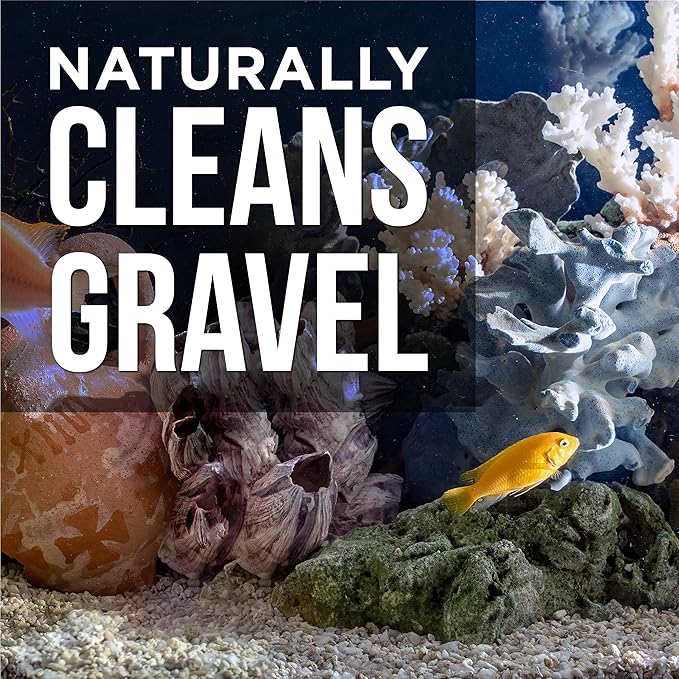 Aquarium Gravel Cleaner - Naturally Maintain a Healthier Tank, Reducing Fish Waste and Toxins (16 fl oz)