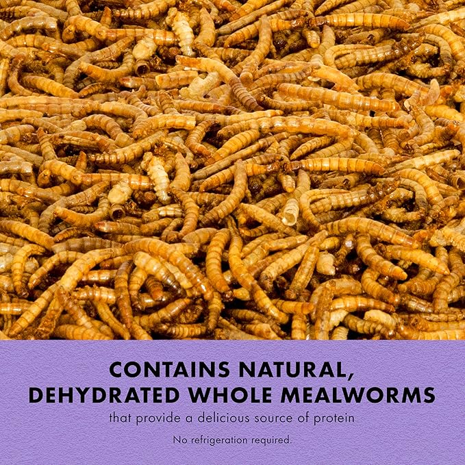 Zilla Reptile Munchies, Mealworms, All-Natural, Dehydrated Mealworms, Ideal for Bearded Dragons, Leopard Geckos, Chameleons and other lizards, Resealable Bag