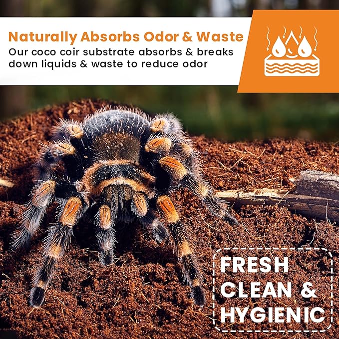 ReptiCare Organic Coconut Coir Bedding Substrate, Ready to Use – 36 Quarts Small Coir Fiber Bedding for Ball Python, Bearded Dragon, Lizard, Tortoise, Hermit Crab, Bedding for Bioactive Terrariums