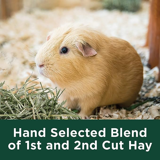 Kaytee Wafer Cut All Natural Timothy Hay for Pet Guinea Pigs, Rabbits & Other Small Animals, 60 Ounce