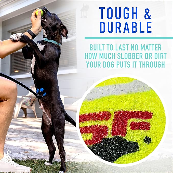 Franklin Pet Supply Tennis Ball Launcher for Dogs - Dog Ball + Tennis Ball Thrower for Fetch - Perfect Toy for Large + Small Dogs