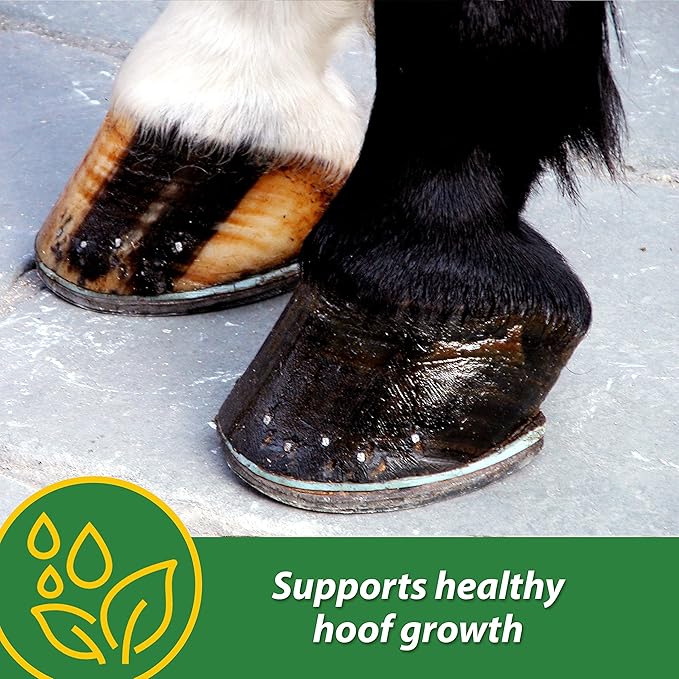 Farnam HB 15 Hoof Supplement, Supports Healthy hoof growth 7 Pound, 112 Day Supply