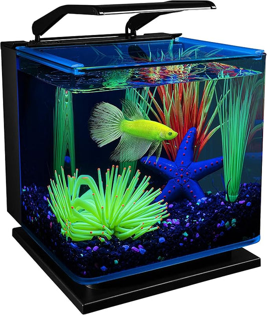 GloFish Betta Aquarium Kit 3 Gallons, Includes LED Lighting And Filter