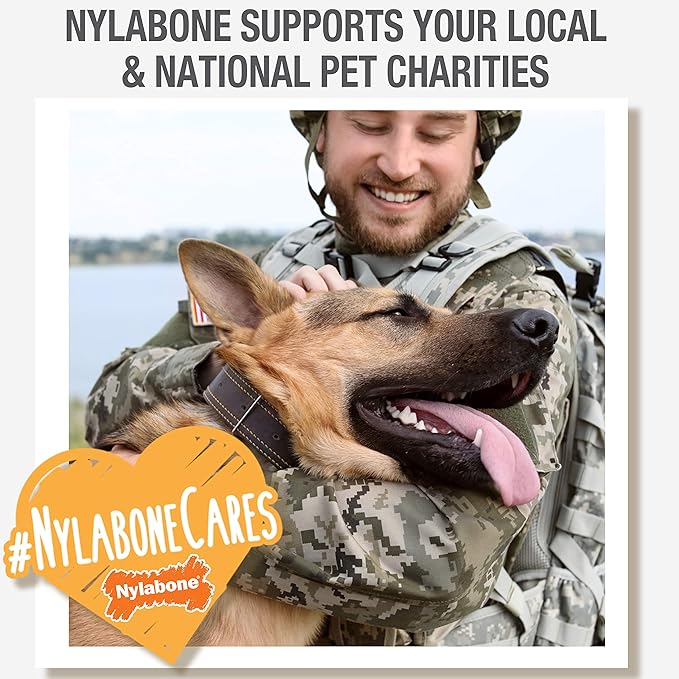 Nylabone Nubz WILD Natural Edible Chew Treats for Dogs, Made in USA, Bison Flavor, Small - Up to 25 lbs. (12 Count)