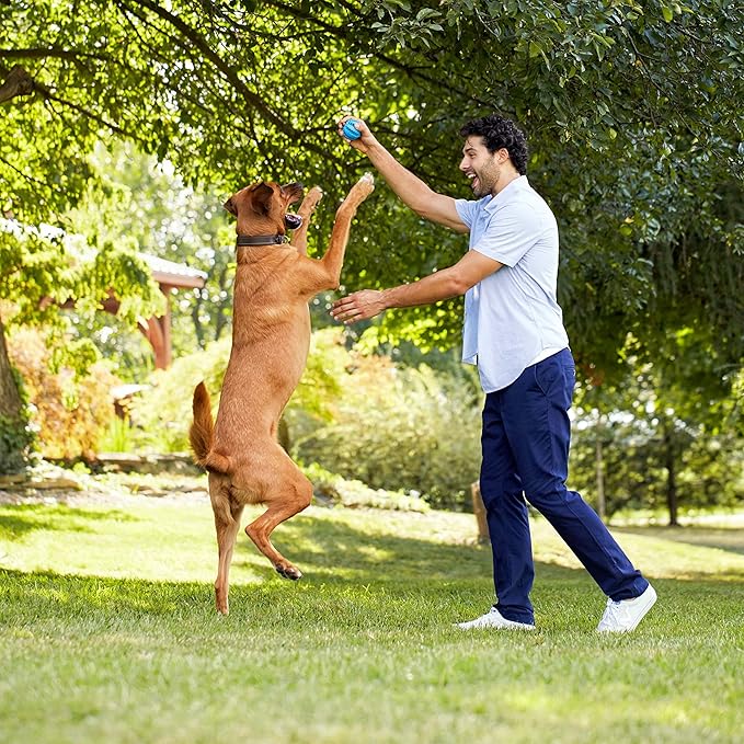 Rachael Ray Nutrish Big Life Dry Dog Food, Medium & Large Breed, Savory Chicken, Barley & Veggies, 40 Pounds