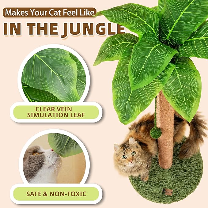 Cat Scratching Post 23.6 inch Cute Cat Scratcher Kitten Scratching Post with Sisal Rope for Indoor Cats Palm Tree Cat Scratching Post with Dangling Balls for Small Cats