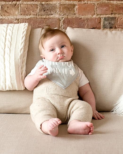 Pearhead Baby and Pet Bib Set, Matching Best Friends Outfits, for Anyone with a Baby and Fur Baby, Gray