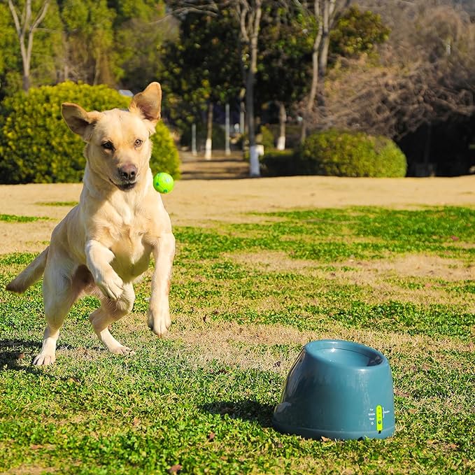 Automatic Ball Launcher for Dogs, 4 Launch Distance Modes, 2-inch Small Balls Included, Suitable for Small to Medium Sized Dogs (Blue with Latex Balls)