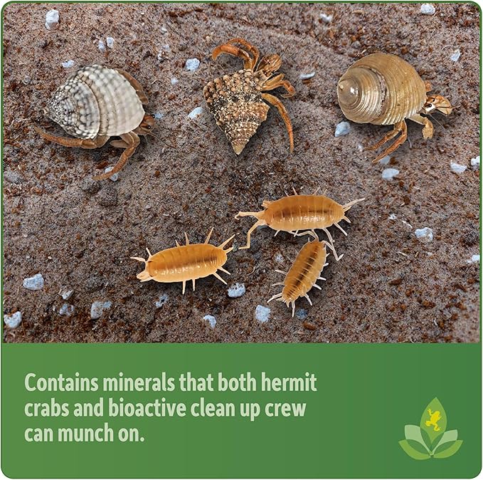 Josh's Frogs Hermit Crab BioBedding Bioactive Substrate (4 Quart (Sand Included))