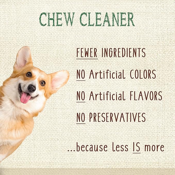 Nylabone Nutri Dent Dog Dental Chews - Natural Dog Teeth Cleaning & Breath Freshener - Dental Treats for Dogs - Filet Mignon Flavor, Large (20 Count)