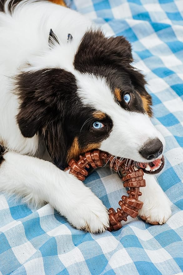 Nylabone Power Chew Textured Dog Chew Ring Toy, Dog Toys for Aggressive Chewers, Flavor Medley, X-Large/Souper (1 Count)