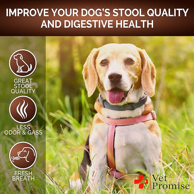 Super Poop Probiotics for Dogs - Dog Stool Softener - Fiber for Dogs Supplement - 6 Probiotics and Digestive Enzymes - Healthy Gut - Perfect for Firm Stool & Diarrhea Relief - 120 Chews