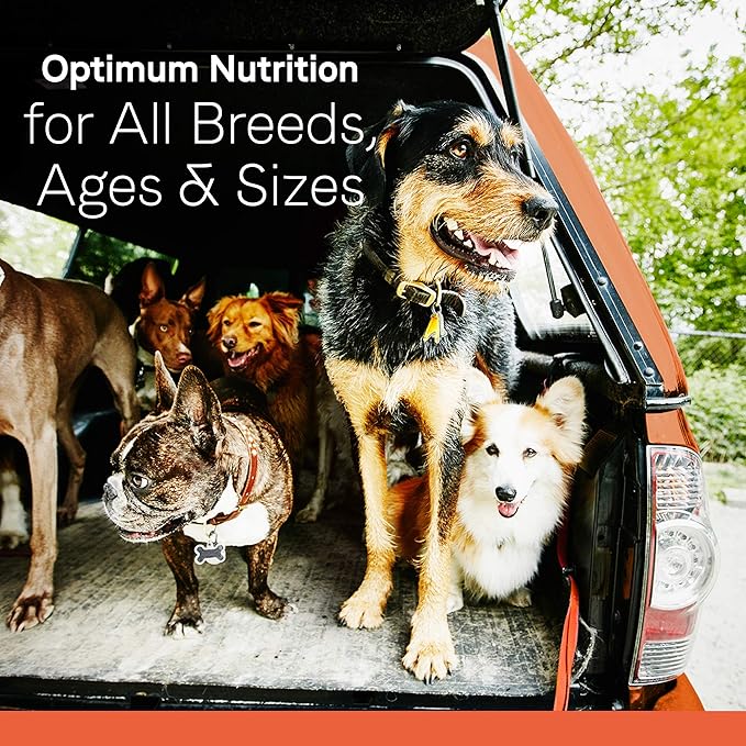Canidae All Life Stages Premium Dry Dog Food for Less Active Dogs, All Ages, Chicken, Turkey & Lamb Meals, 27 lbs.