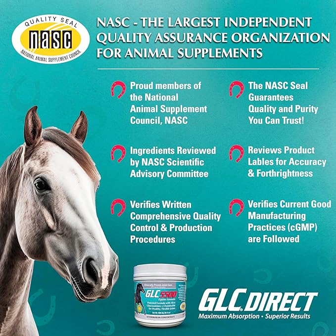 GLC 5500 Equine Formula - Glucosamine Chondroitin Joint Supplement for Horses - with All Four Types of Glucosamine for Healthy, Flexible Joints - 100% Pure Powder Concentrate - 38.12oz, 90 Day Supply