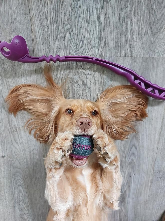 Dog Ball Launcher, Dog Ball Launcher Thrower, Dog Ball Hands Free Pick Up and Throw Play, Tennis Ball and Launcher Toy (PURPLE-LIMITED EDITION)