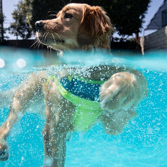 Outward Hound Standley Sport Green Performance Dog Life Jacket, XS