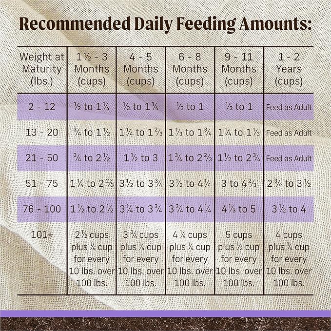 Merrick Premium Grain Free Dry Puppy Food, Wholesome And Natural Kibble With Real Chicken and Sweet Potato - 4.0 lb. Bag