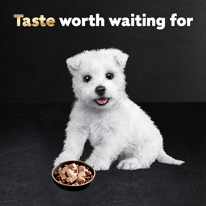 CESAR Puppy Soft Wet Dog Food Classic Loaf in sauce Chicken & Beef Recipe, 3.5 Ounce (Pack of 24) Easy Peel Trays