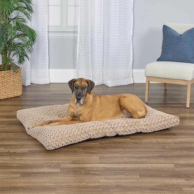 MidWest Homes for Pets Plush Ombre Swirl Dog Bed; Mocha 54L x 36W x 4H -Inches for Giant Breeds