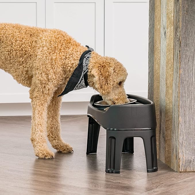 IRIS USA Elevated Dog Bowls, Adjustable Height, 2 Thick 64 oz Stainless Steel Bowls, Spill-Proof with Raised Outer Rim, Durable Made in USA Plastic, Easy Assemble, 2 Heights 4.63" or 12.25" Black