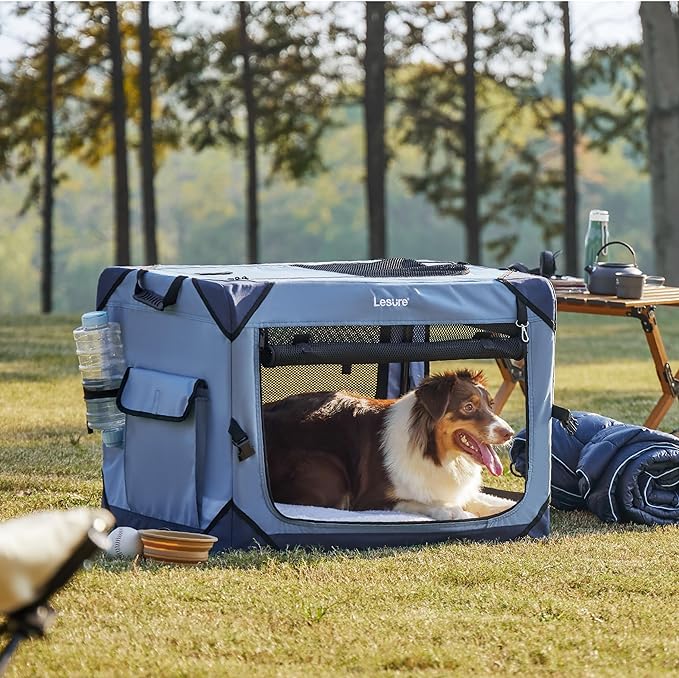 Lesure Collapsible Dog Crate - Portable Dog Travel Crate Kennel for Medium Dog, 4-Door Pet Crate with Durable Mesh Windows, Indoor & Outdoor (Blue)