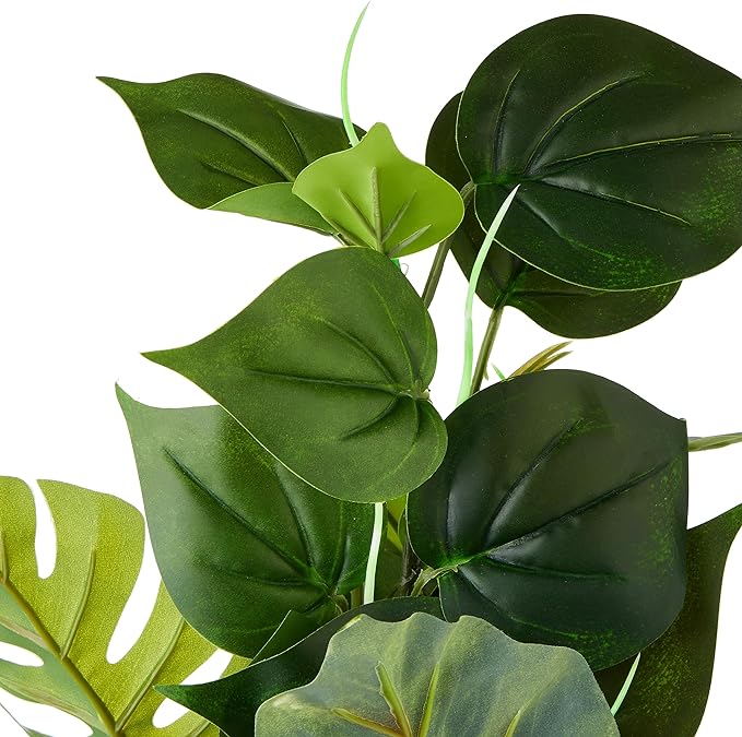 Fluval Anubias Plant for Aquarium, 12-Inch