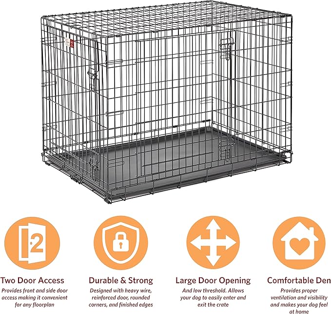 MidWest Homes for Pets Large Dog Crate | MidWest Life Stages Double Door Folding Metal Crate | Divider Panel, Floor Protecting Feet, Leak-Proof Pan | 42L x 28W x 30H Inches For Large Dog Breed