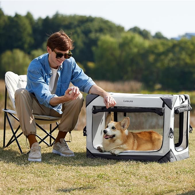 Lesure Collapsible Dog Crate - Portable Dog Travel Crate Kennel for Small Dog, 4-Door Pet Crate with Durable Mesh Windows, Indoor & Outdoor (Light Gray)