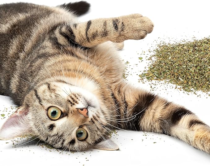 Petlinks HappyNip Silvervine & Catnip Blend, Highly Potent, Resealable Pouch - 2.0 Ounces