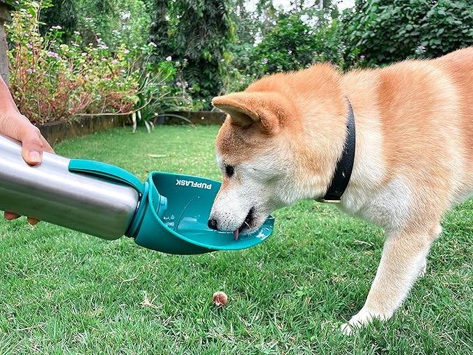 PupFlask Large Dog Water Bottle | 27 or 40 OZ Stainless Steel | Convenient Water Dispenser | Puppy Travel Water Bowl | Portable Pet Leak Proof Bottle Perfect Size For All Dog Breeds