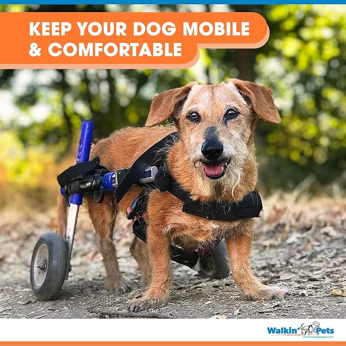 Walkin' Wheels Small Dog Wheelchair, Lightweight Dog Wheelchair for Back Legs, 15-25 lbs, for 6-8 inches Leg Height - Blue