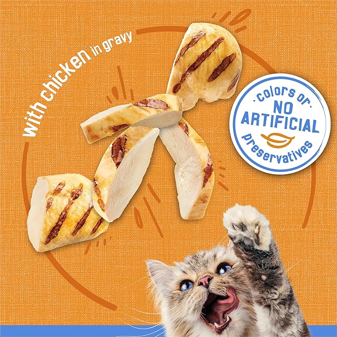 Purina Friskies Gravy Wet Cat Food, Shreds With Chicken - (Pack of 24) 5.5 oz. Cans