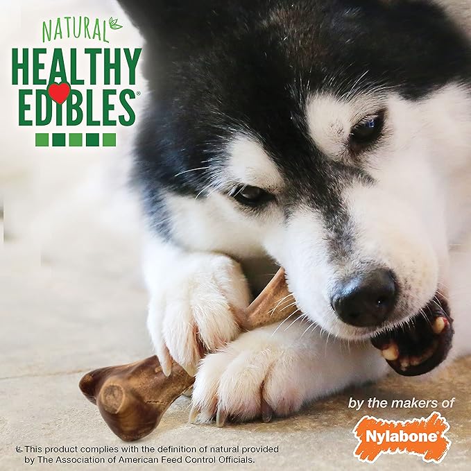 Nylabone Healthy Edibles Natural Bone Broth Dog Chews Long Lasting Bone Broth Flavor Treats for Dogs, Large/Giant (1 Count)