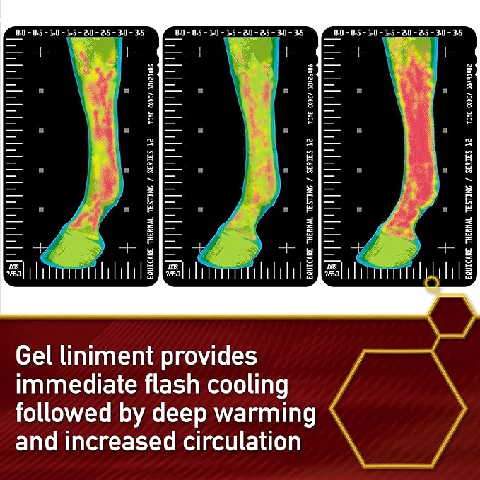 Thermaflex Liniment Gel for Sore Muscles and Joint Relief in Horses 12 Fluid Ounces