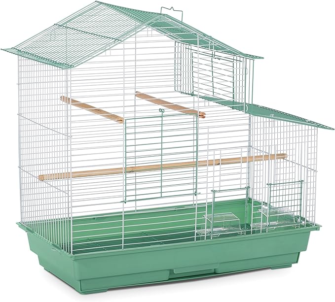 Prevue Pet Products SP41615-2 House Style Bird Cage, Small, Green