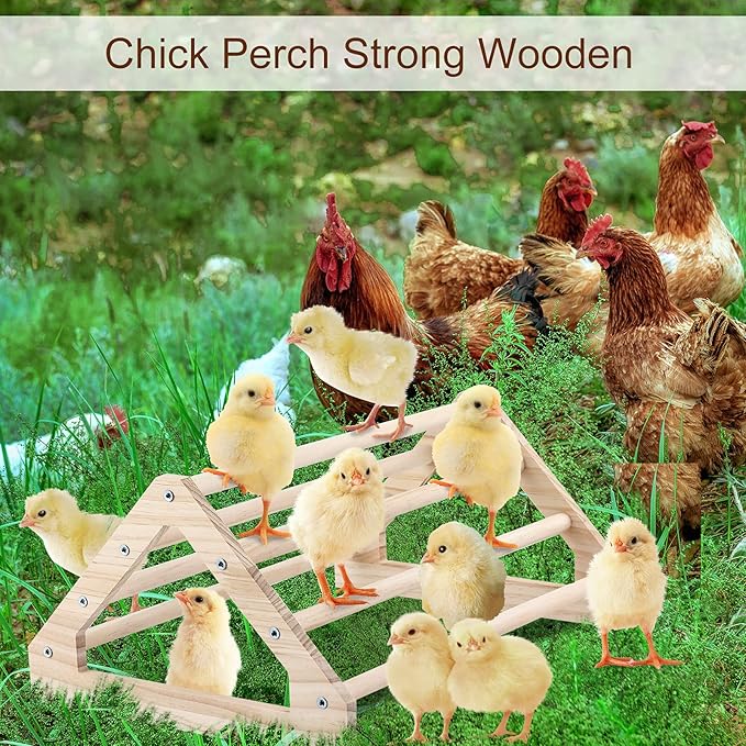 Chicken Perch Strong Pine Wooden Chick Jungle Gym Roosting Bar, Chick Perch Toys for Coop and Brooder for Large Bird Baby Chicks Parrot Hens (Large)