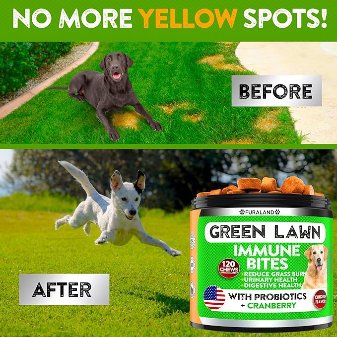 Grass Burn Spot Saver Chews Caused by Dog Pee Lawn- Grass Treatment Rocks - DL-Methionine + Digestive Enzymes - Dog Urine Neutralizer - Soft Treats