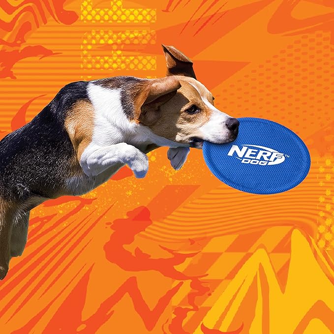 Nerf Dog Nylon Flyer Dog Toy, Flying Disc, Lightweight, Durable and Water Resistant, Great for Beach and Pool, 9 inch diameter, for Medium/Large Breeds, Single Unit, Blue