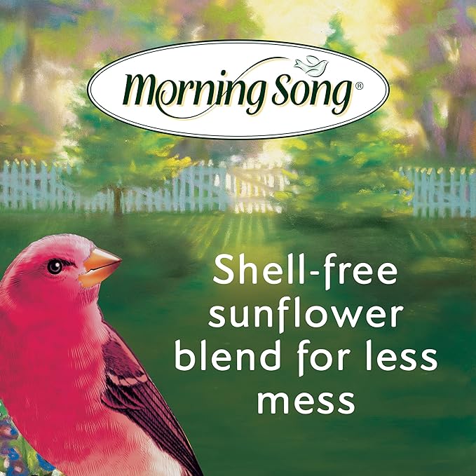 Morning Song Clean & Free Shell Free Wild Bird Food, Premium No Mess Bird Seed for Outside Feeders, 10-Pound Bag