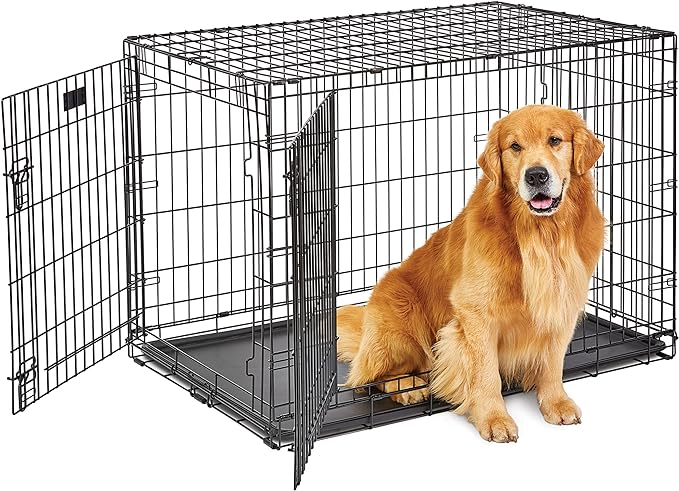 MidWest Homes for Pets Large Dog Crate | MidWest Life Stages Double Door Folding Metal Crate | Divider Panel, Floor Protecting Feet, Leak-Proof Pan | 42L x 28W x 30H Inches For Large Dog Breed