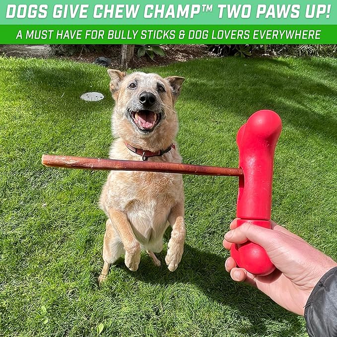 GoSports Chew Champ Bully Stick Holder for Dogs - Securely Holds Bully Sticks to Help Prevent Choking - 6 in or 8 in Size, 1 Count (Pack of 1)