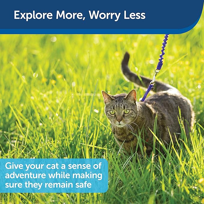 PetSafe Come with Me Kitty Harness and Bungee Leash, Harness for Cats, Small, Royal Blue/Navy